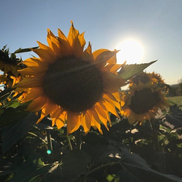 Meet your Posher, Karina π» - Picture 1 of 1